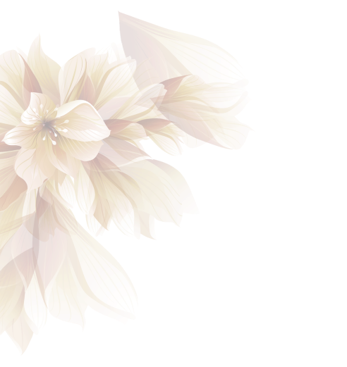 Natural Elements | Massage & Spa
